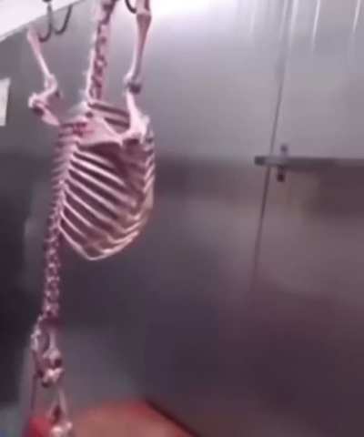 💀🏋️‍♂<wbr>️