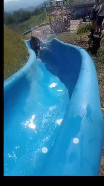 virou em 360Â°