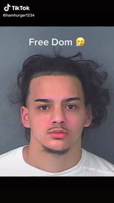 Free dom