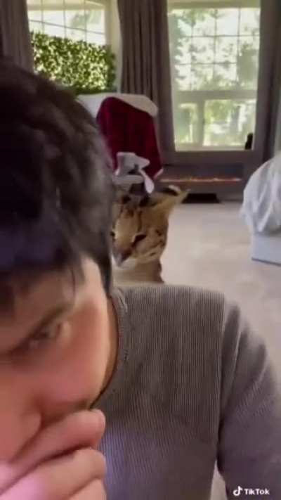 Slap slap