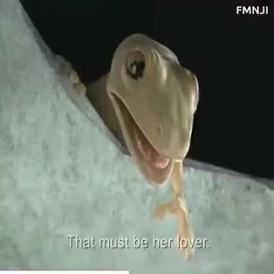 So ass braking😢