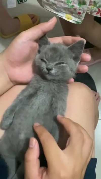Hungry baby or Naughty