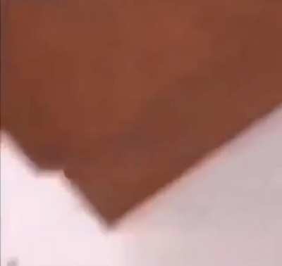 por q los videos de gatos siempre tienen audio Half-Life?