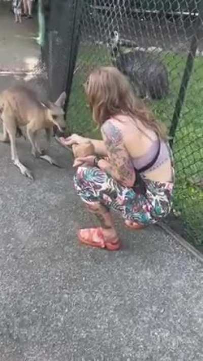 I was so excited to feed the kangaroos. He got excited too I guess.