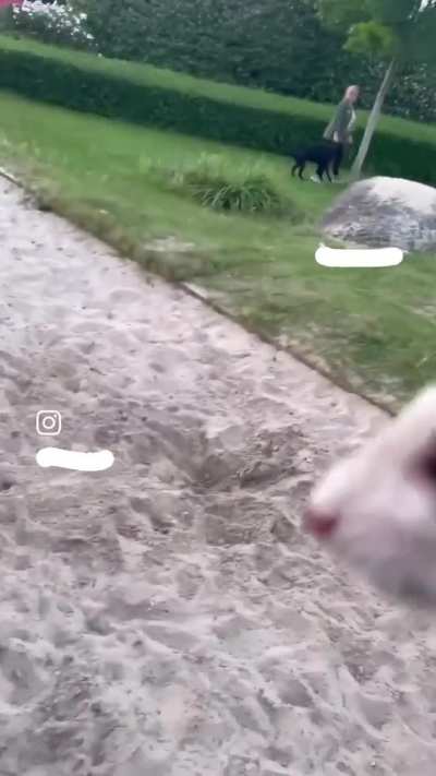 Karen is enraged upon seeing a young man walking his ferret in an empty park during the England game. She intervenes. Camden, London, UK