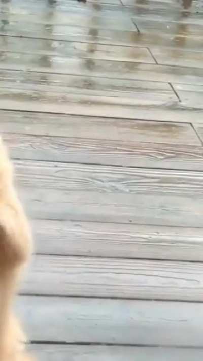2 months old- 3 years old and he still has this habit