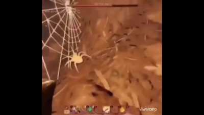 AAA