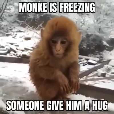 😿