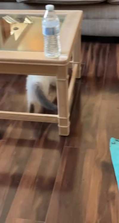 She was chasing the floor today…