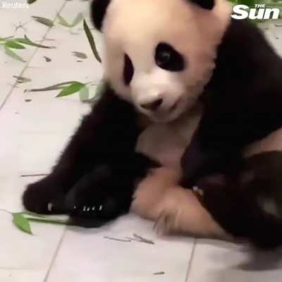 Must. Hold. On!