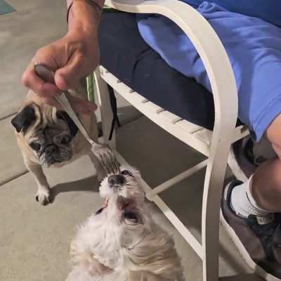 Snack Time