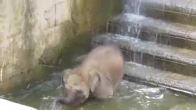 Lil guy testing the waters of life