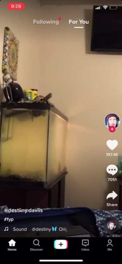Judging by the water quality, he was probably better off anyway.