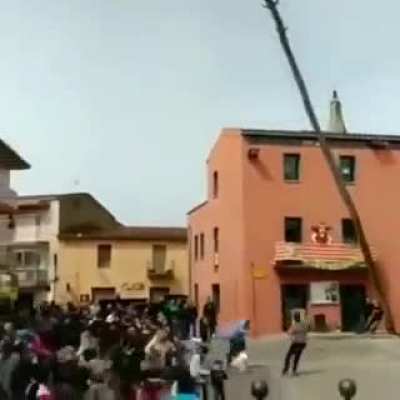 That little stumble saved him from the tree.