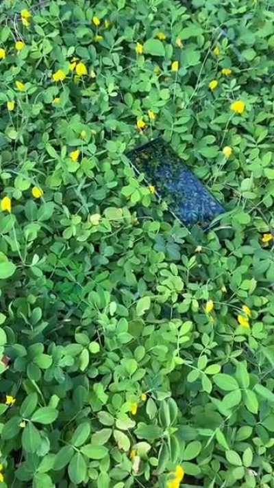 Bad camouflage