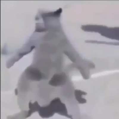 un vídeo random para aparecer en el vídeo del viejas