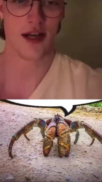 What 