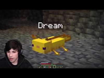 Dream