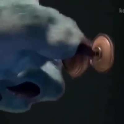 Sully gets caught