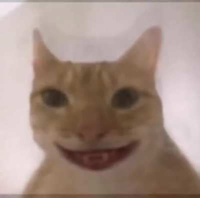 When haces tus momos en video