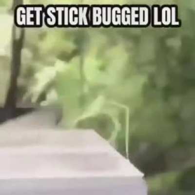 Sj post
