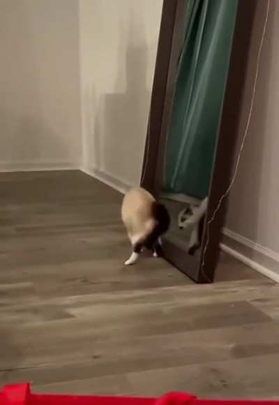 You want a piece of me huh COME ON LET'S GO