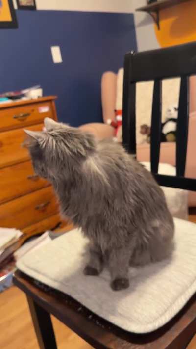 Constant noise maker