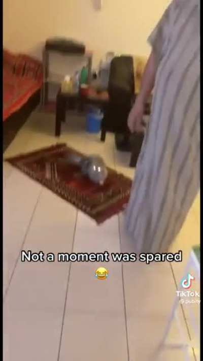 Found this on TikTok thought I’ll share it
