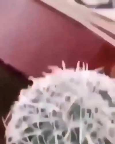A-