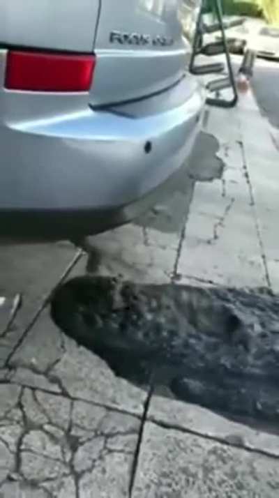 I think there is something wrong with that car.