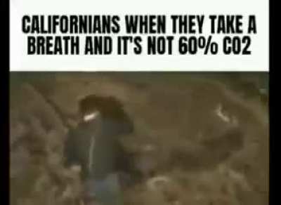 California air do be bad tho
