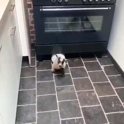 You just bought a house and this happens. What do you do?