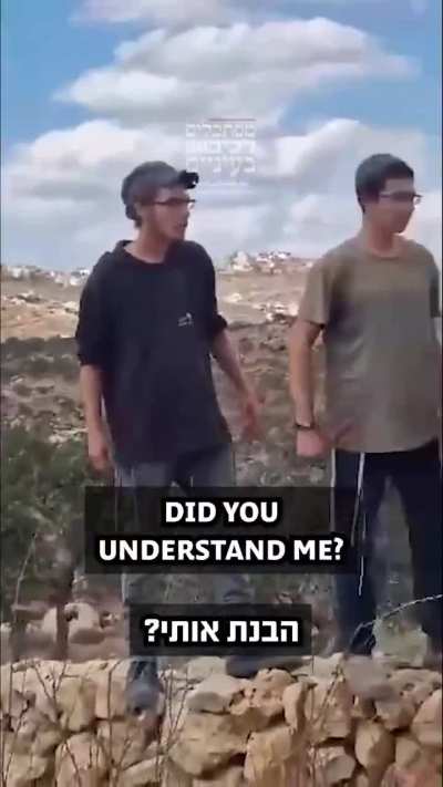 Aqraba, Area B. Settler terror: Yesterday, settlers invaded an olive grove belonging to local residents and threatened: 