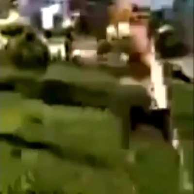 Aykut elmas Vine