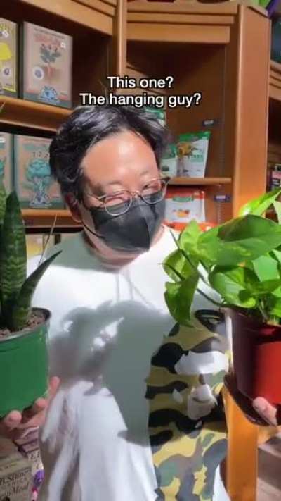This is really wholesome, I love plants!