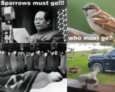 who must go?