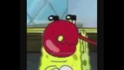 Qiissu sirogueijo 😳