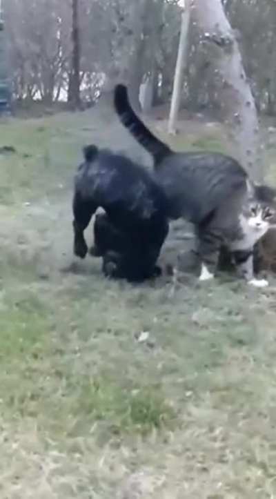 Ннна!