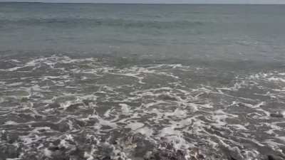 Ocean Rock music