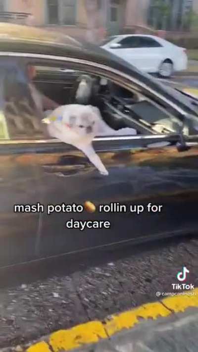 He's an absolute legend!