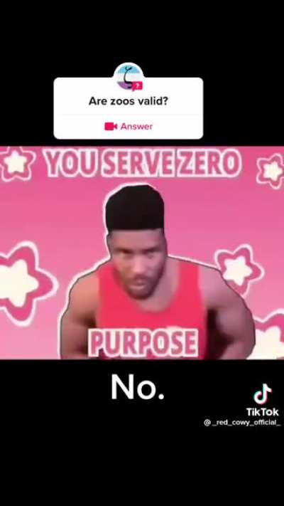 based TikTok user