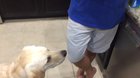 My dogs reaction to lettuce