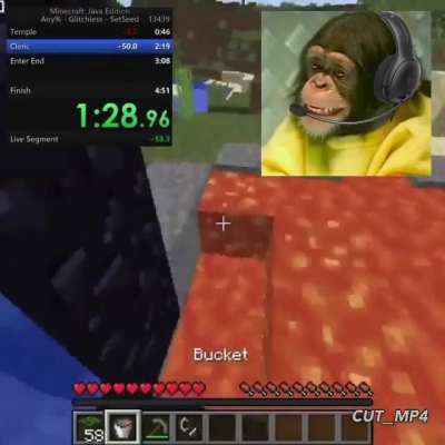 Monkey=funny