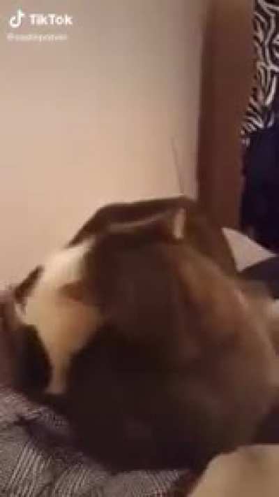 EEEEeeeeE—
