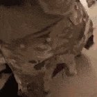Army Girl