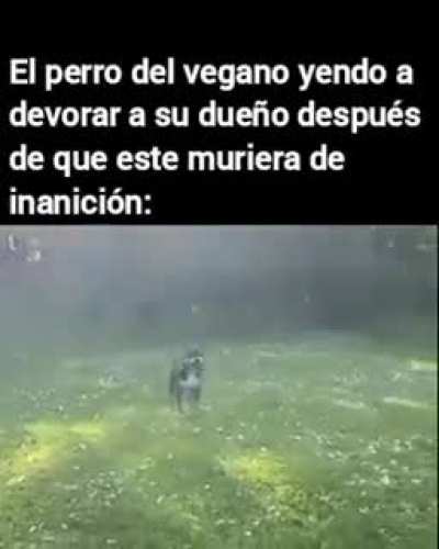 Si