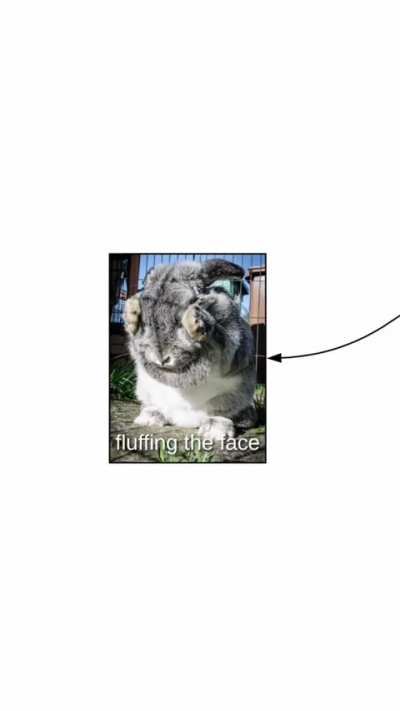 the WUNKY-MENTARY