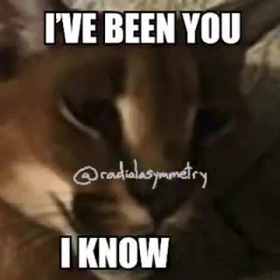 I fucking miss floppa Friday already