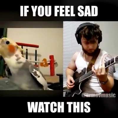 Are you happy