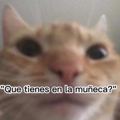 Bueno...